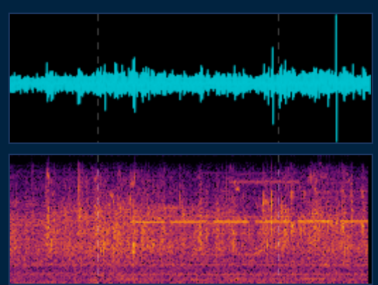 Raspberry Shake live waveform and spectrogram